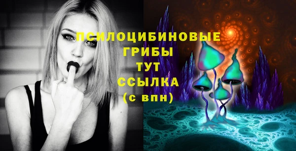 мяу мяу мука Вяземский