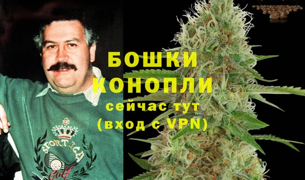 mdpv Володарск