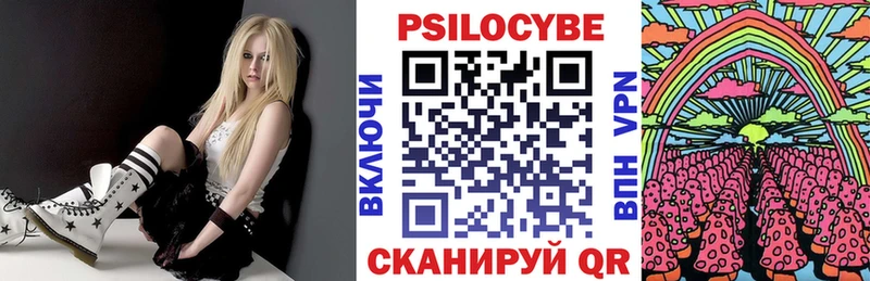 Галлюциногенные грибы Psilocybe  блэк спрут зеркало  Ачинск  цены  