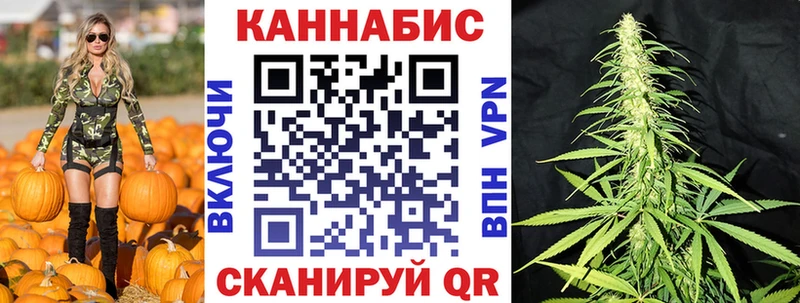 Марихуана SATIVA & INDICA  omg маркетплейс  Ачинск 